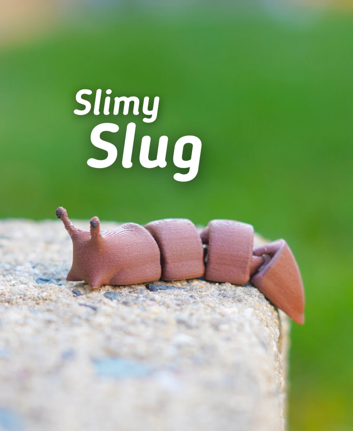 Slimy Slug