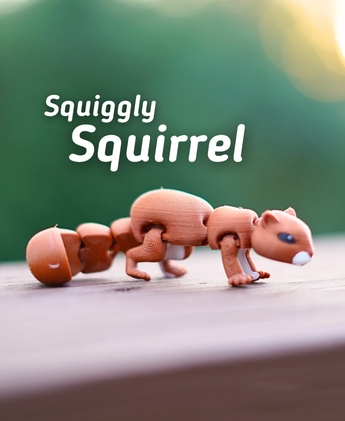Squiggly Squirrel