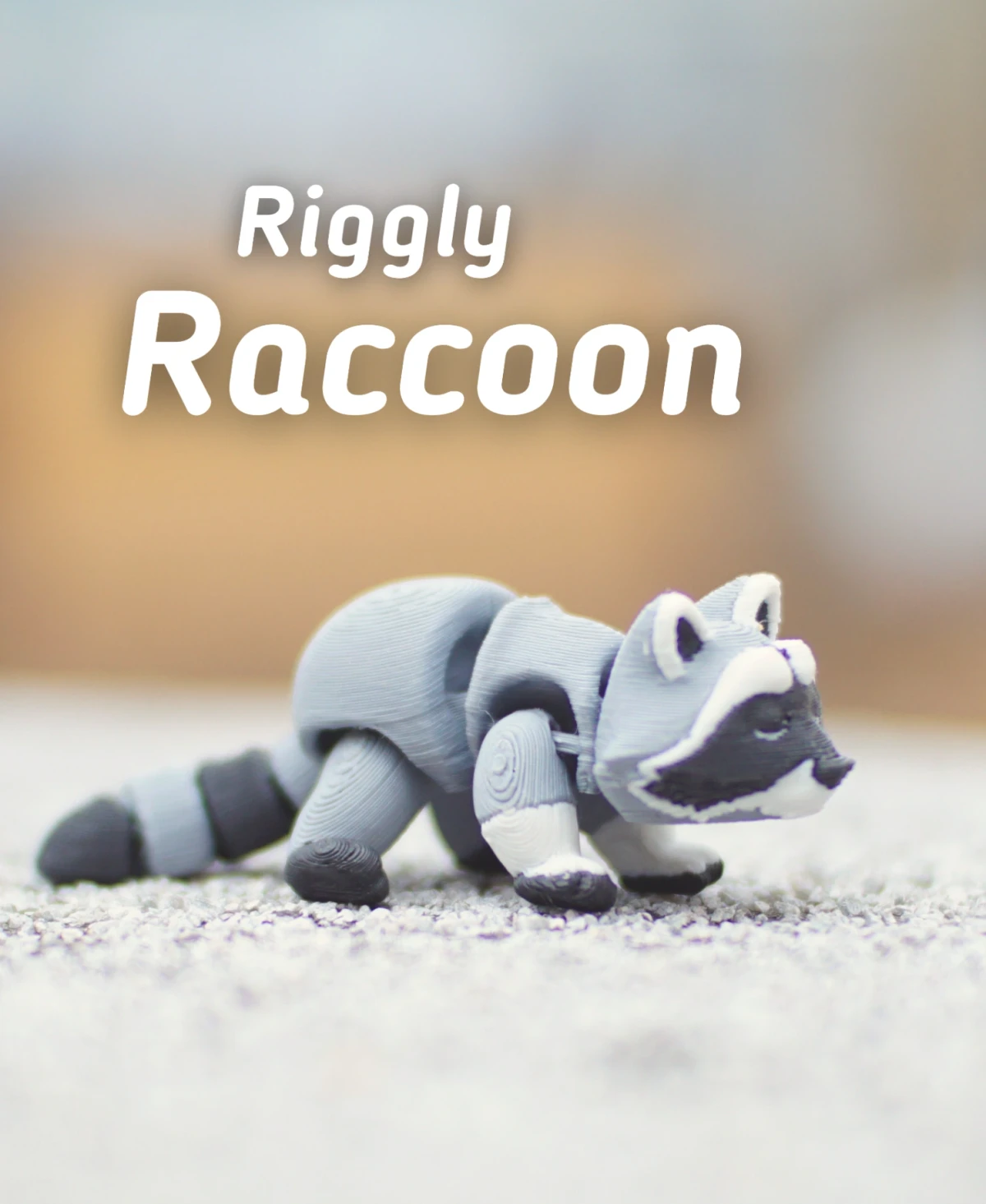 Riggly Raccoon