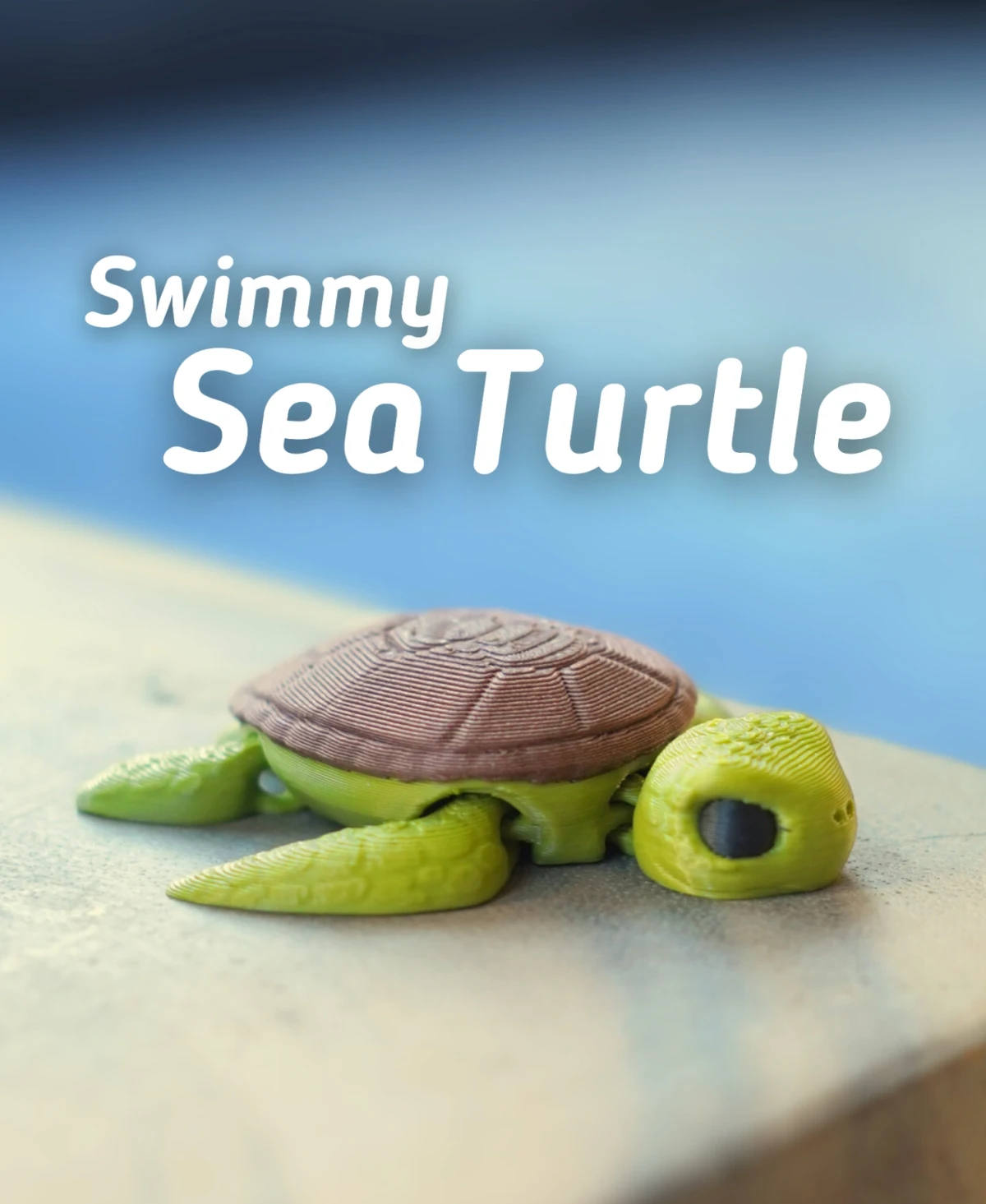 Swimmy Sea Turtle