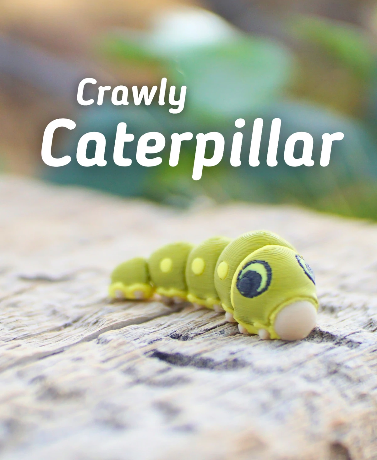Crawly Caterpillar