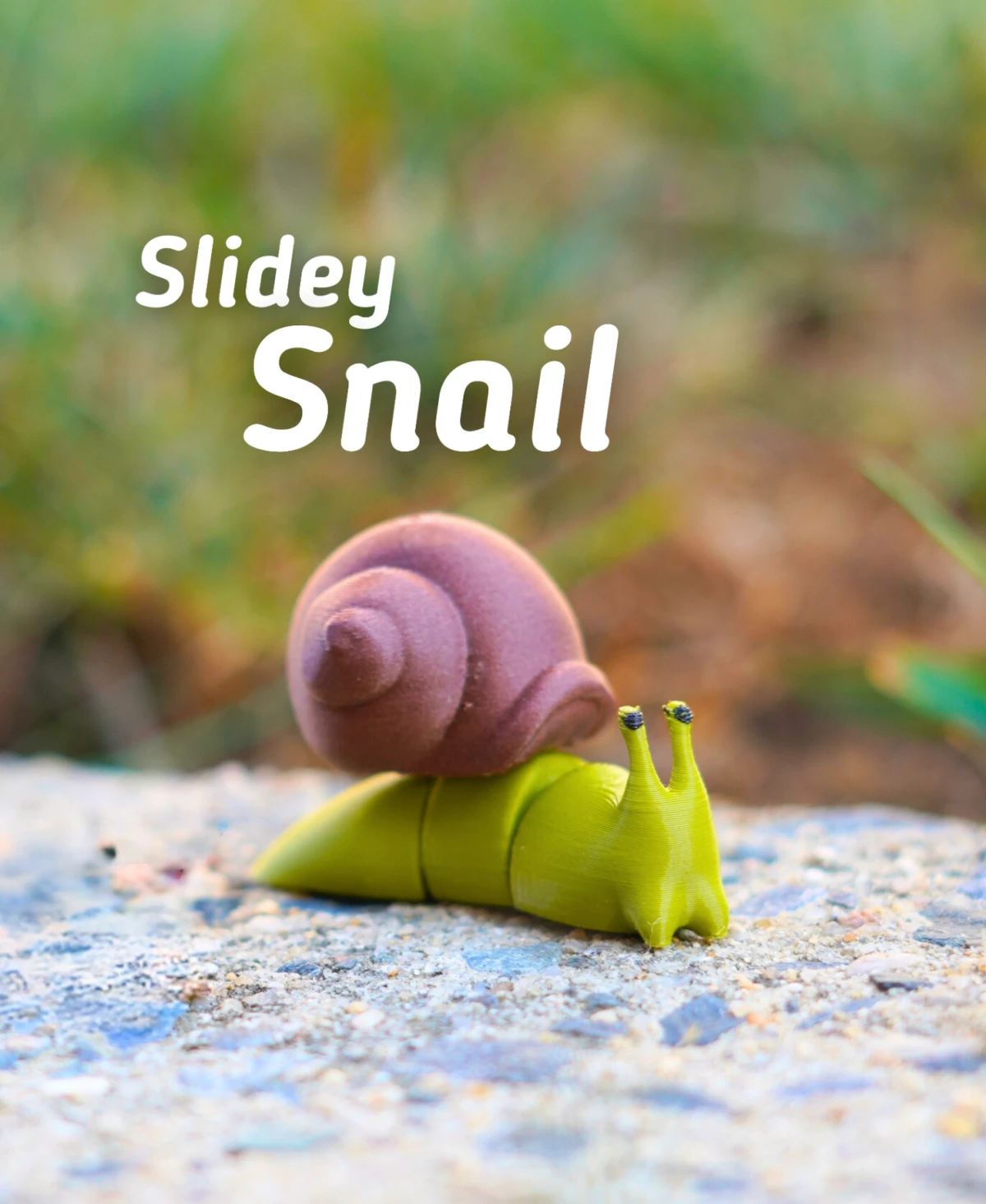 Slidey Snail