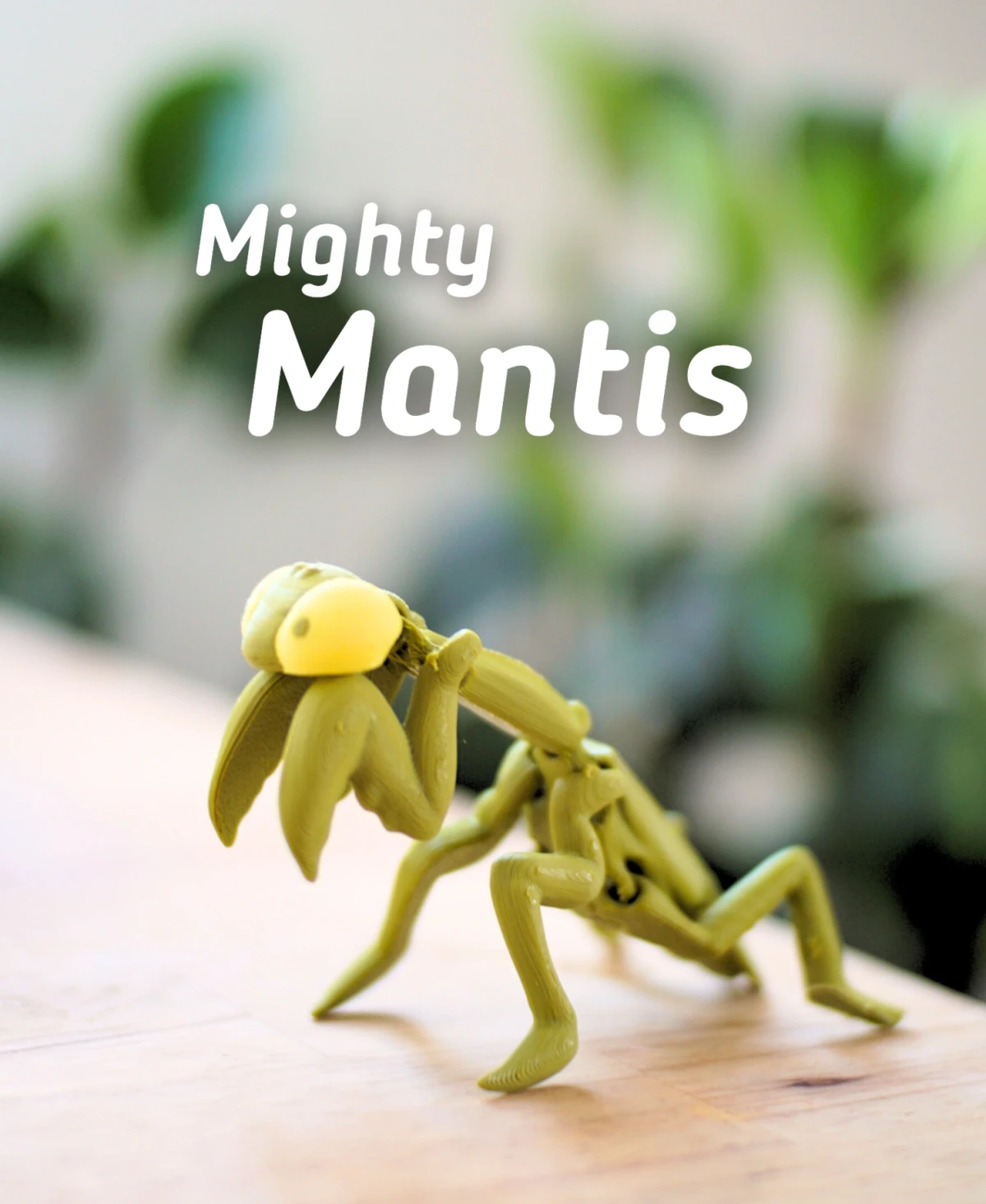 Mighty Mantis