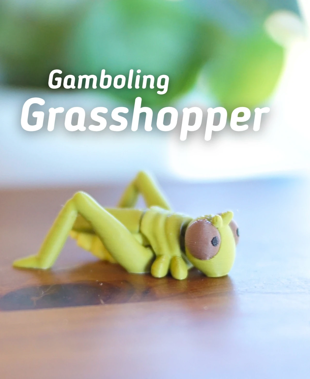 Gamboling Grasshopper
