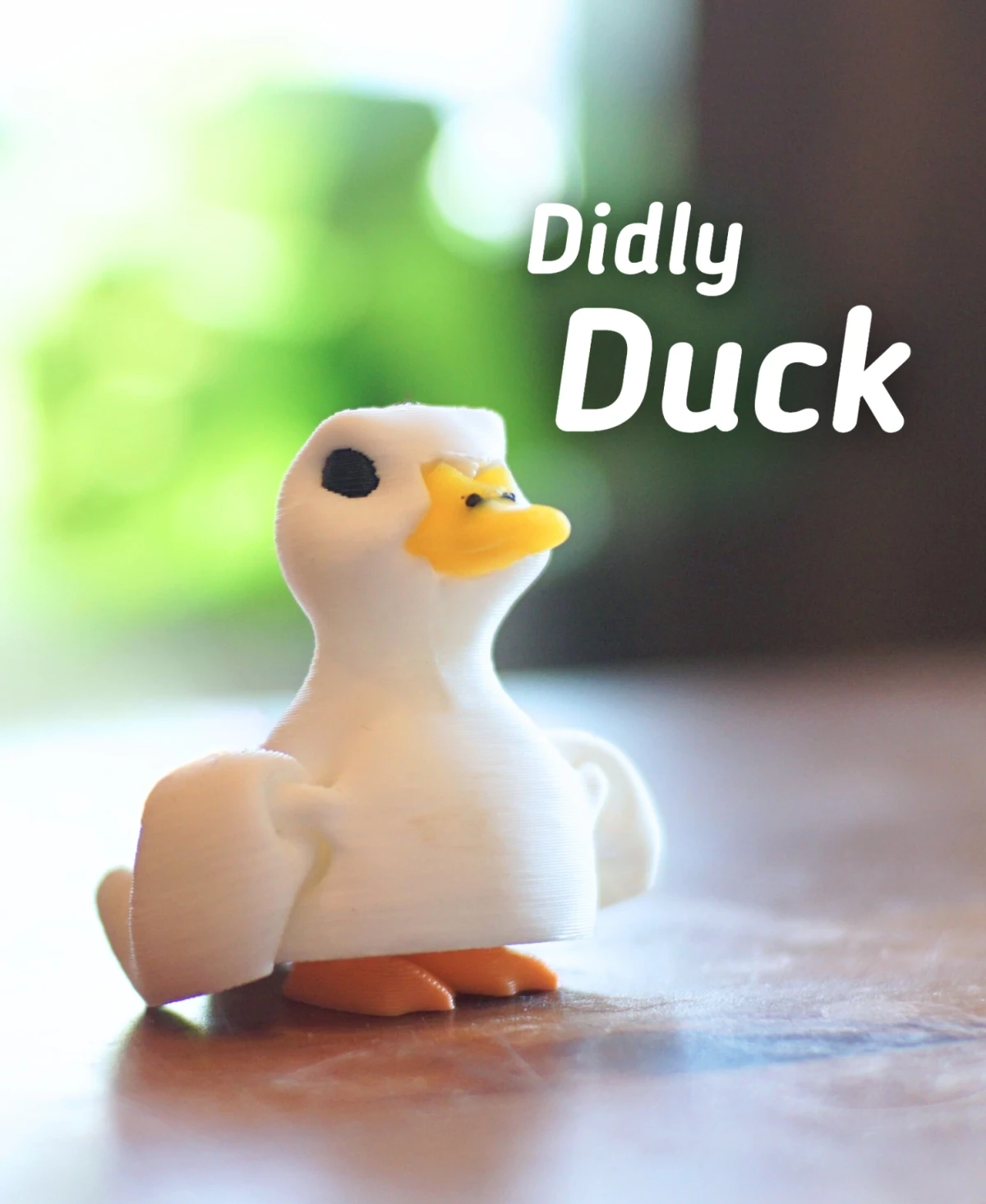 Didly Duck