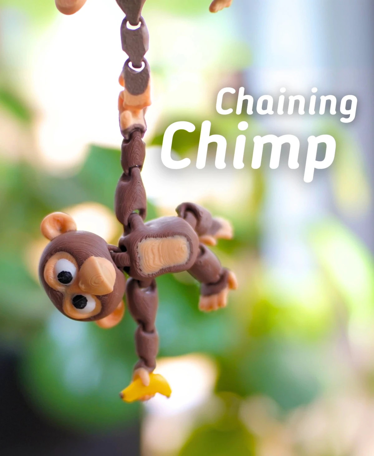 Chaining Chimp