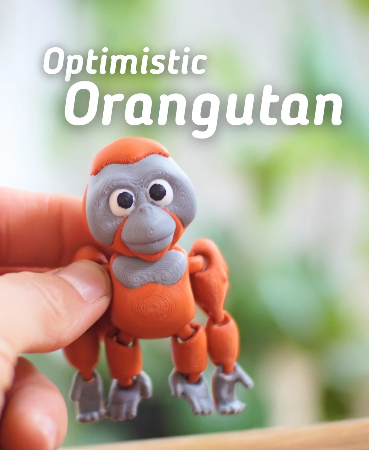 Optimistic Orangutan