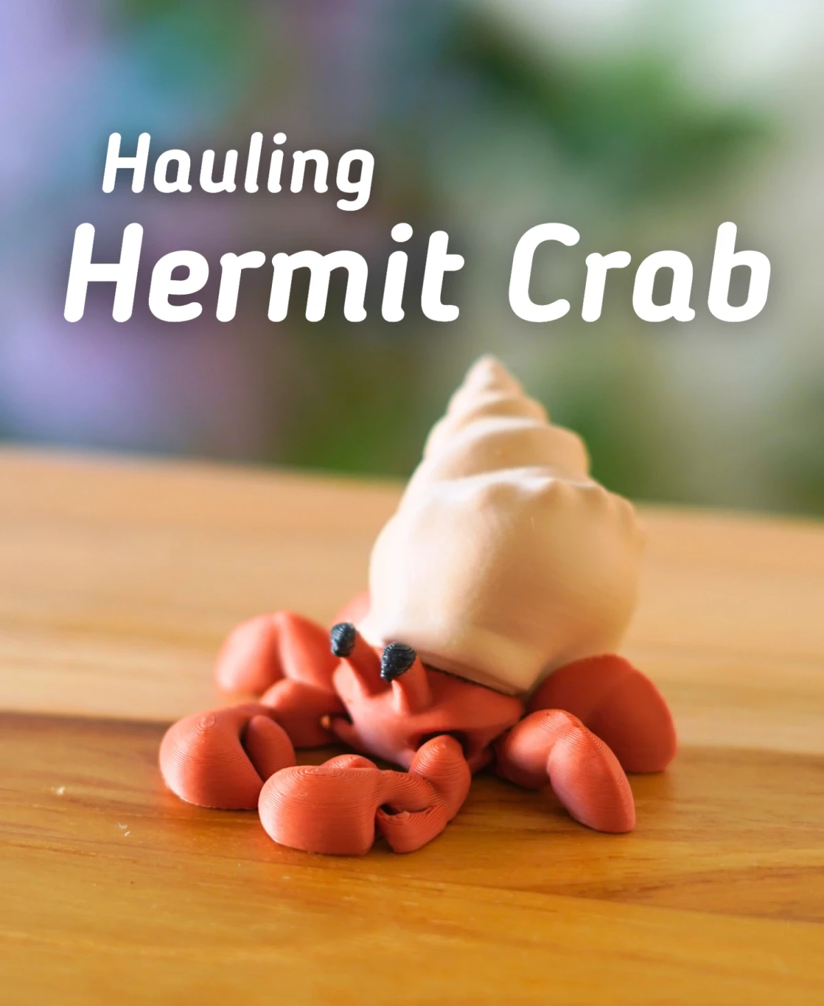 Hauling Hermit Crab