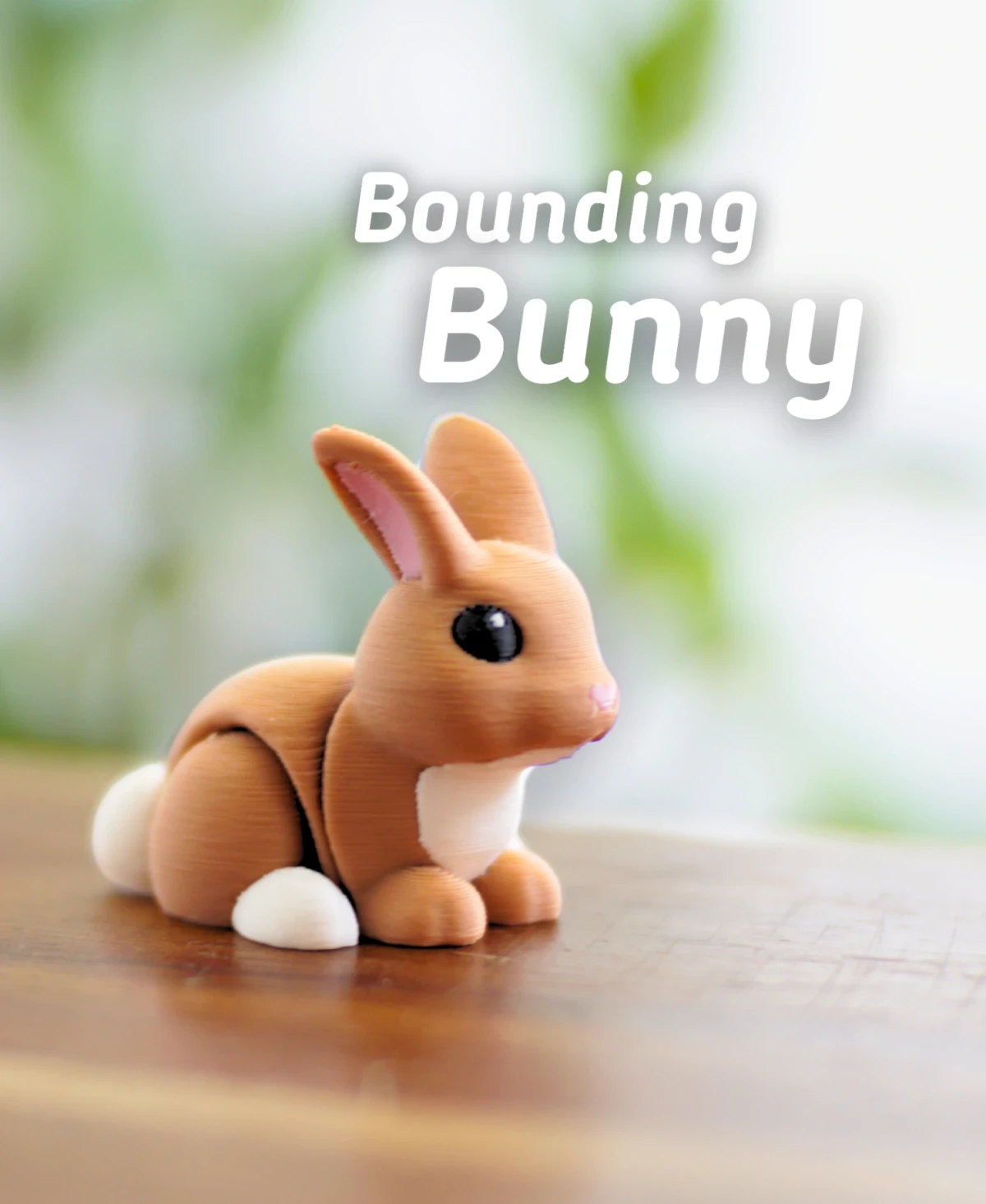 Bounding Bunny