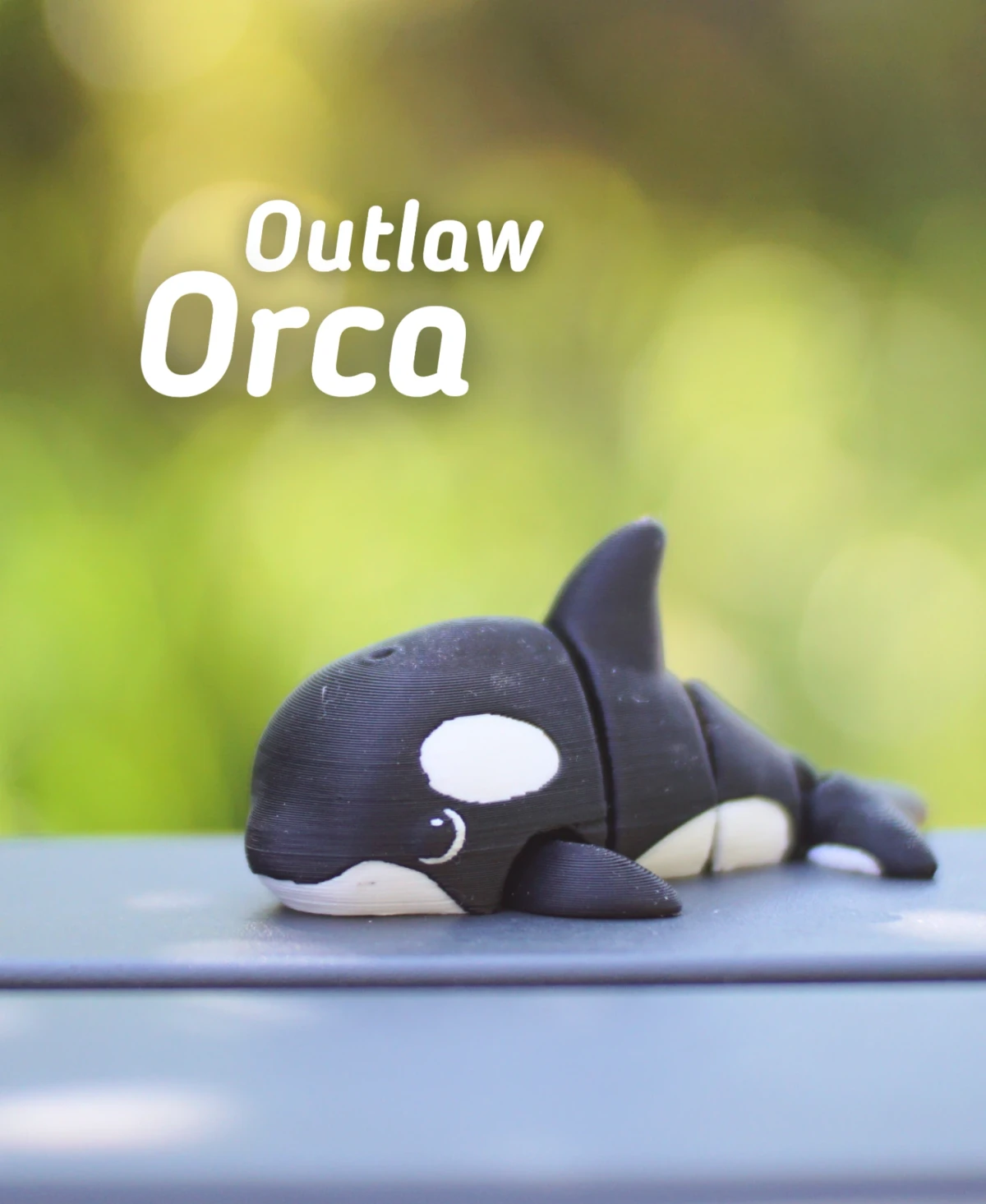 Outlaw Orca