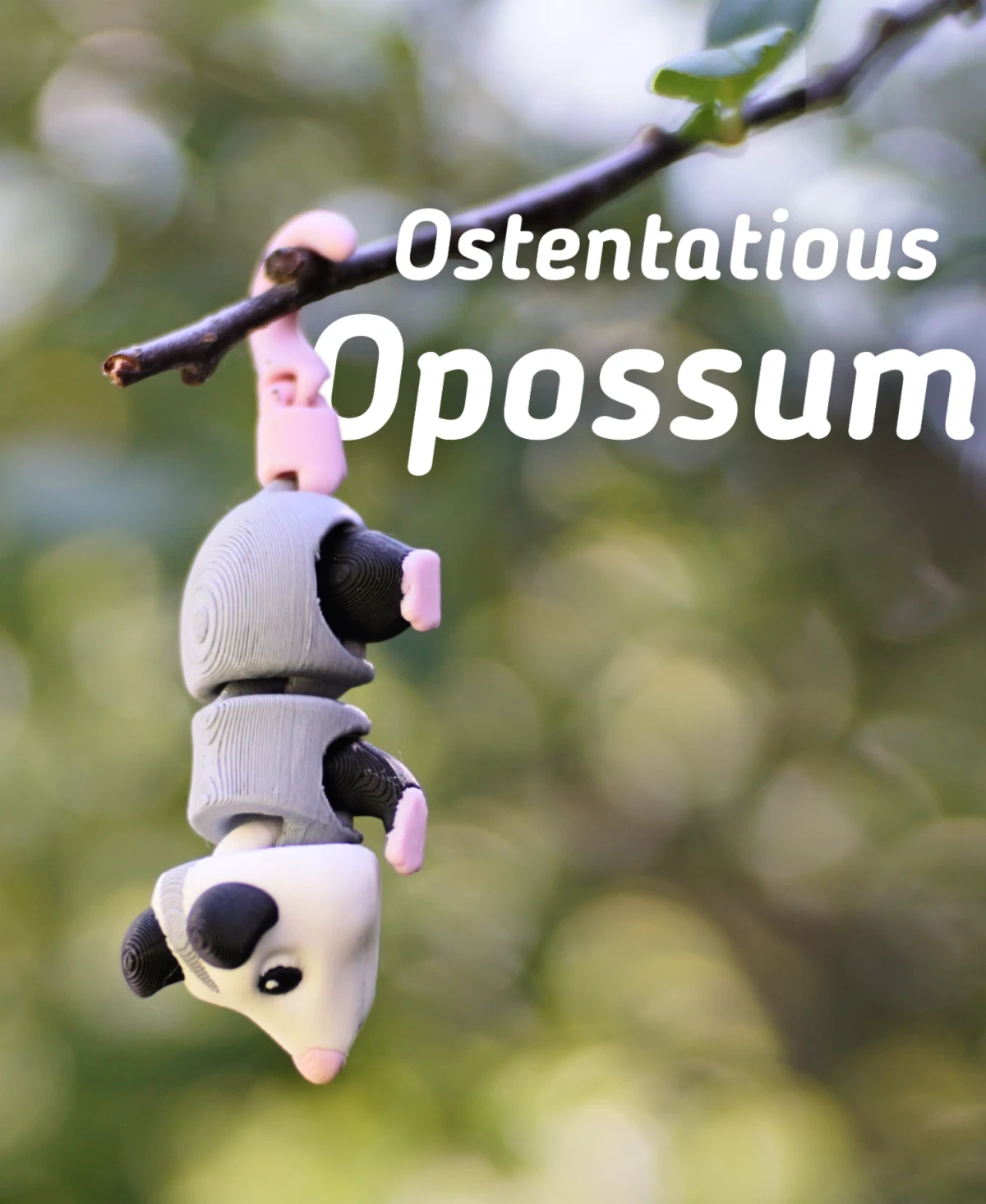 Ostentatious Opossum