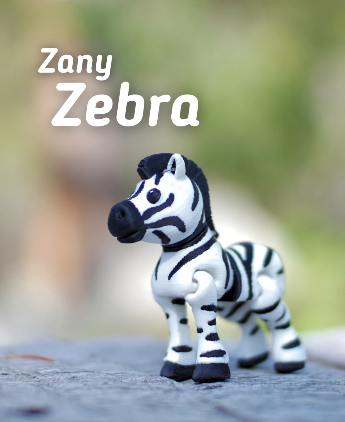 Zany Zebra