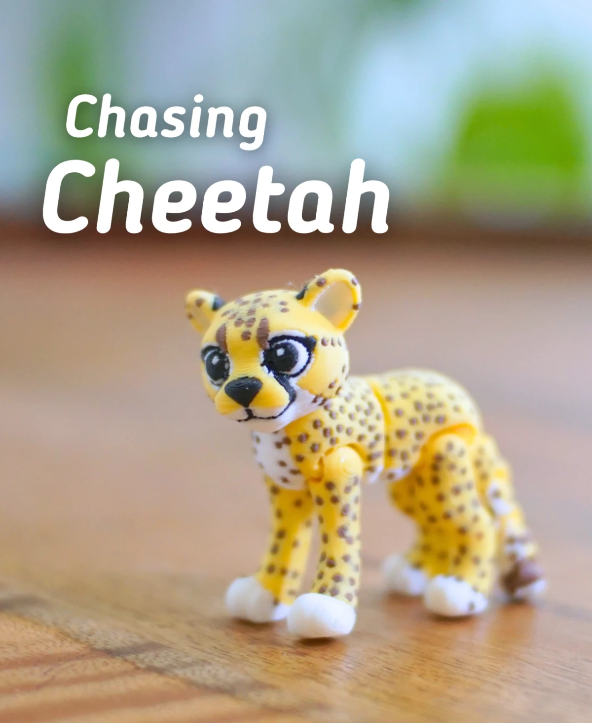 Chasing Cheetah