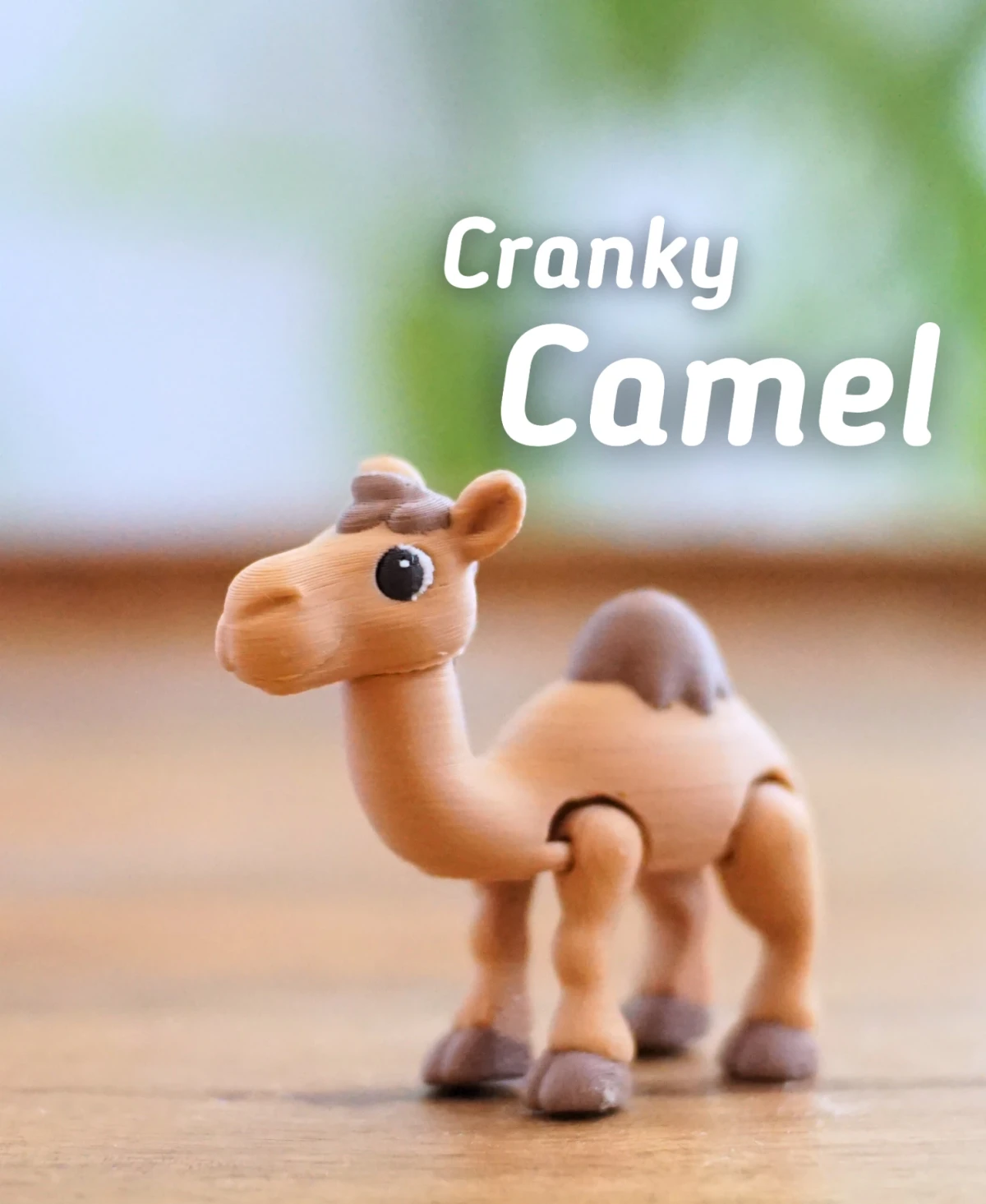Cranky Camel
