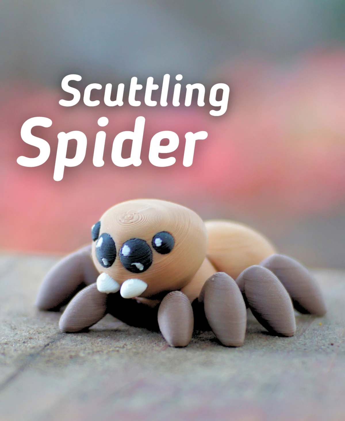 Scuttling Spider