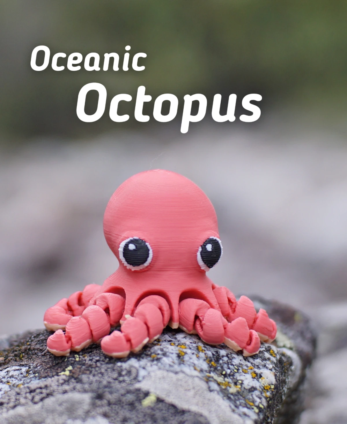 Oceanic Octopus