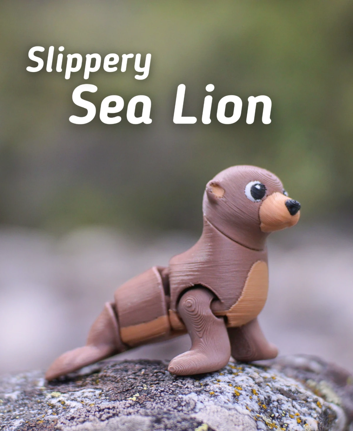 Slippery Sea Lion