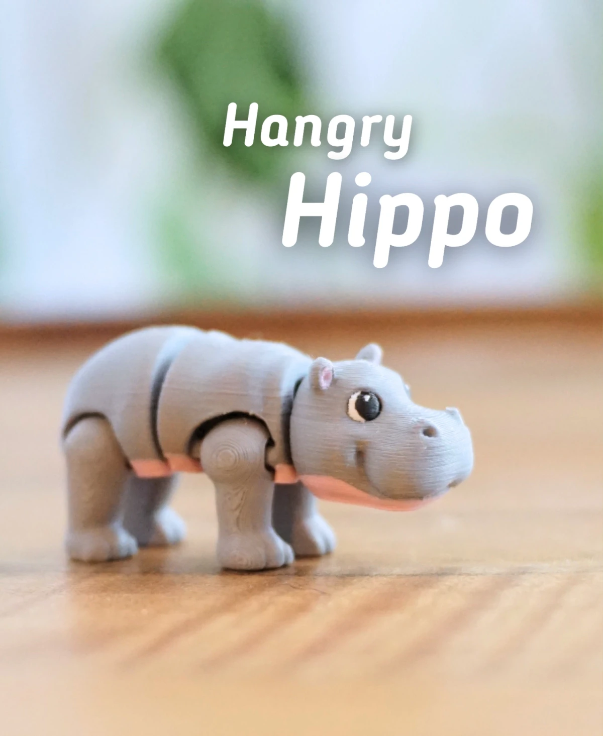 Hangry Hippo