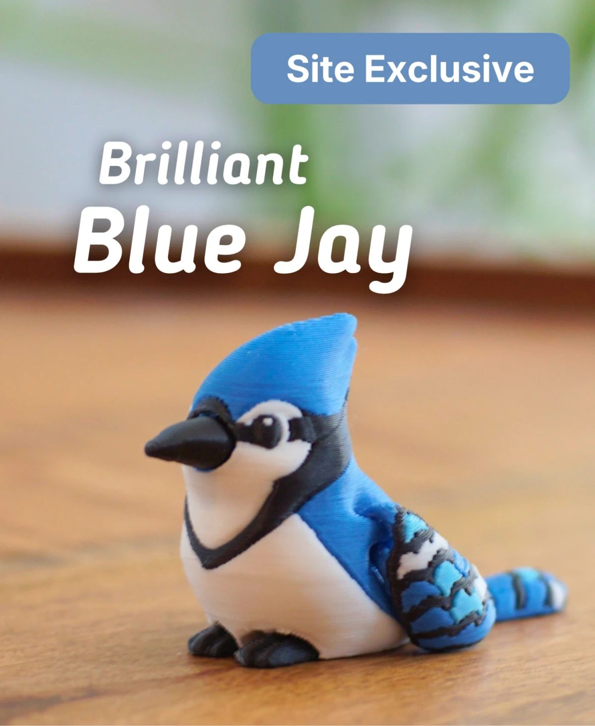 Brilliant Blue Jay