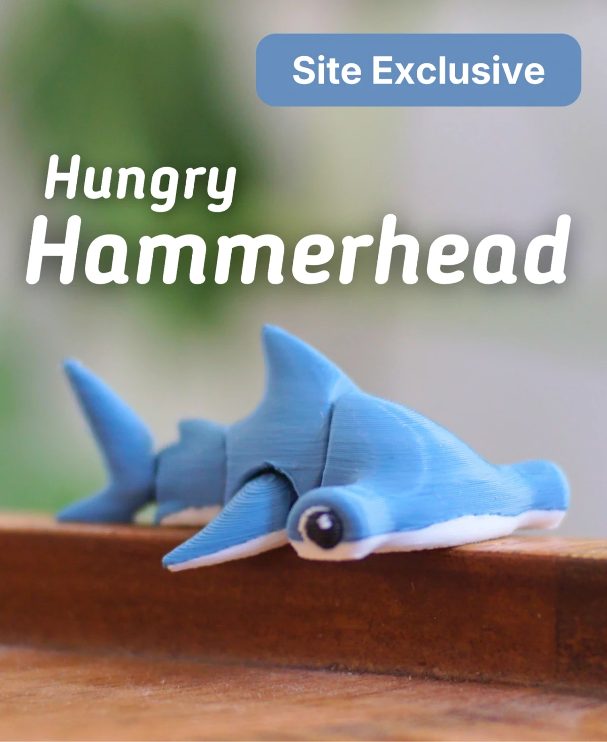 Hungry Hammerhead