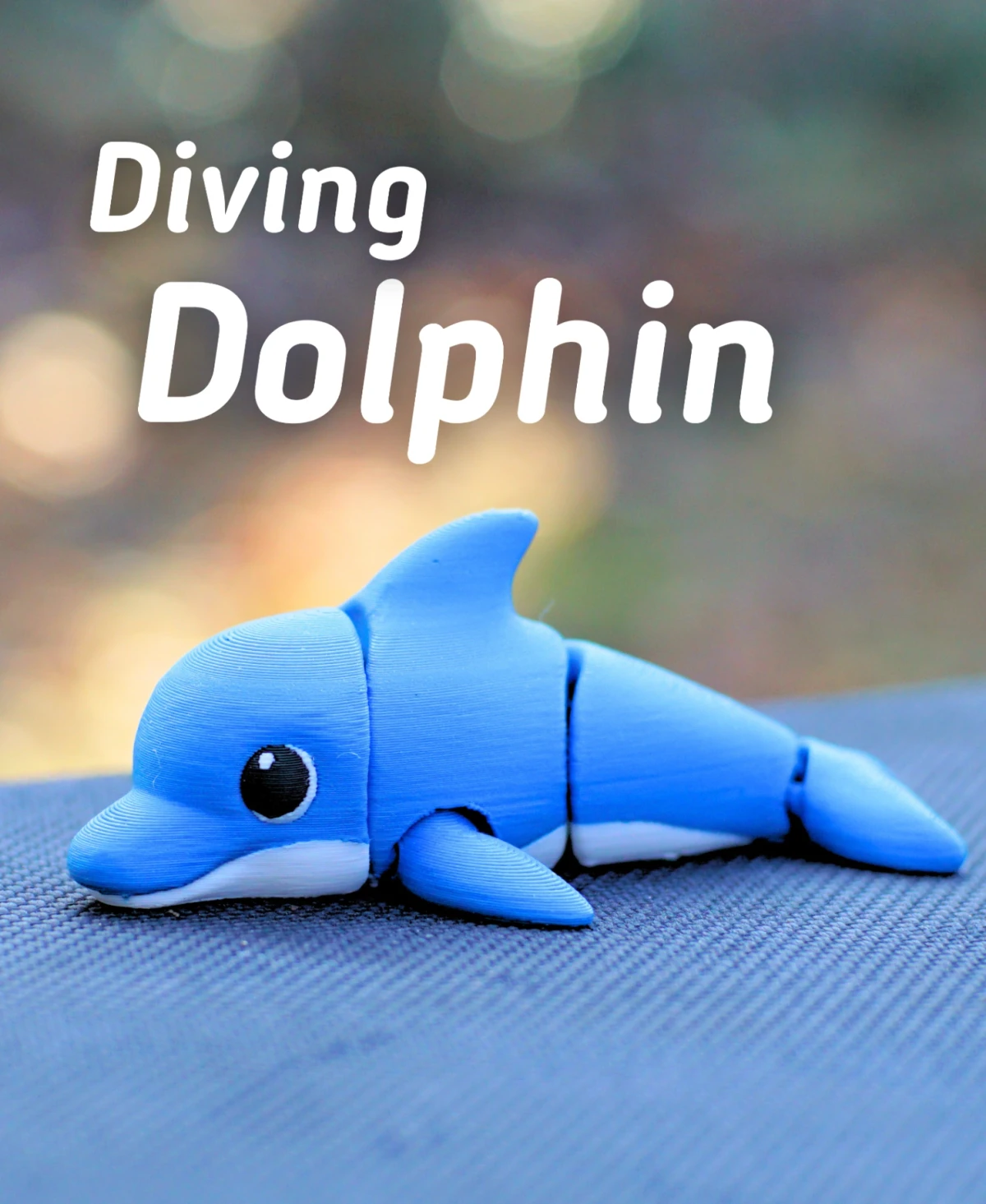 Diving Dolphin