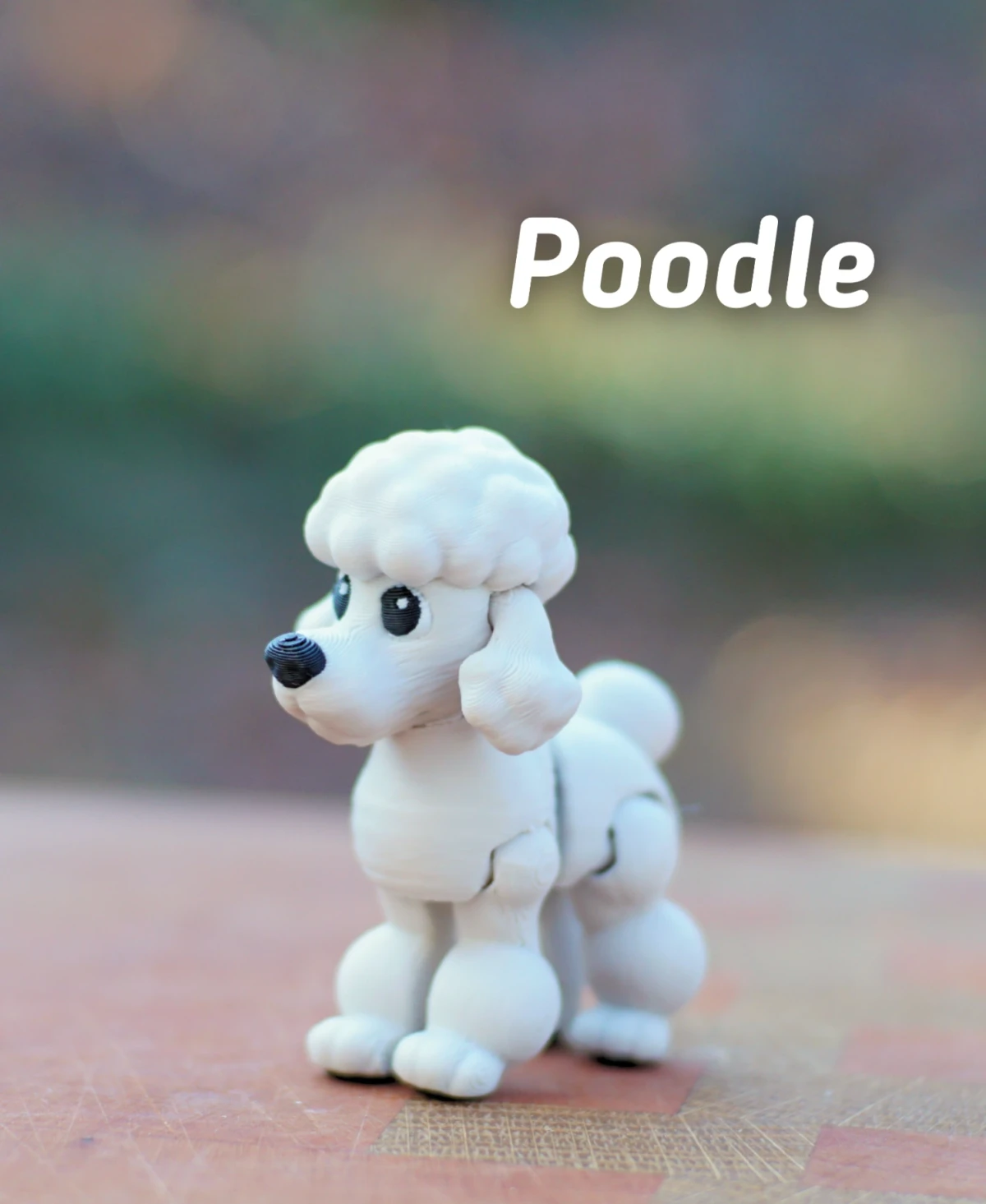 Poodle