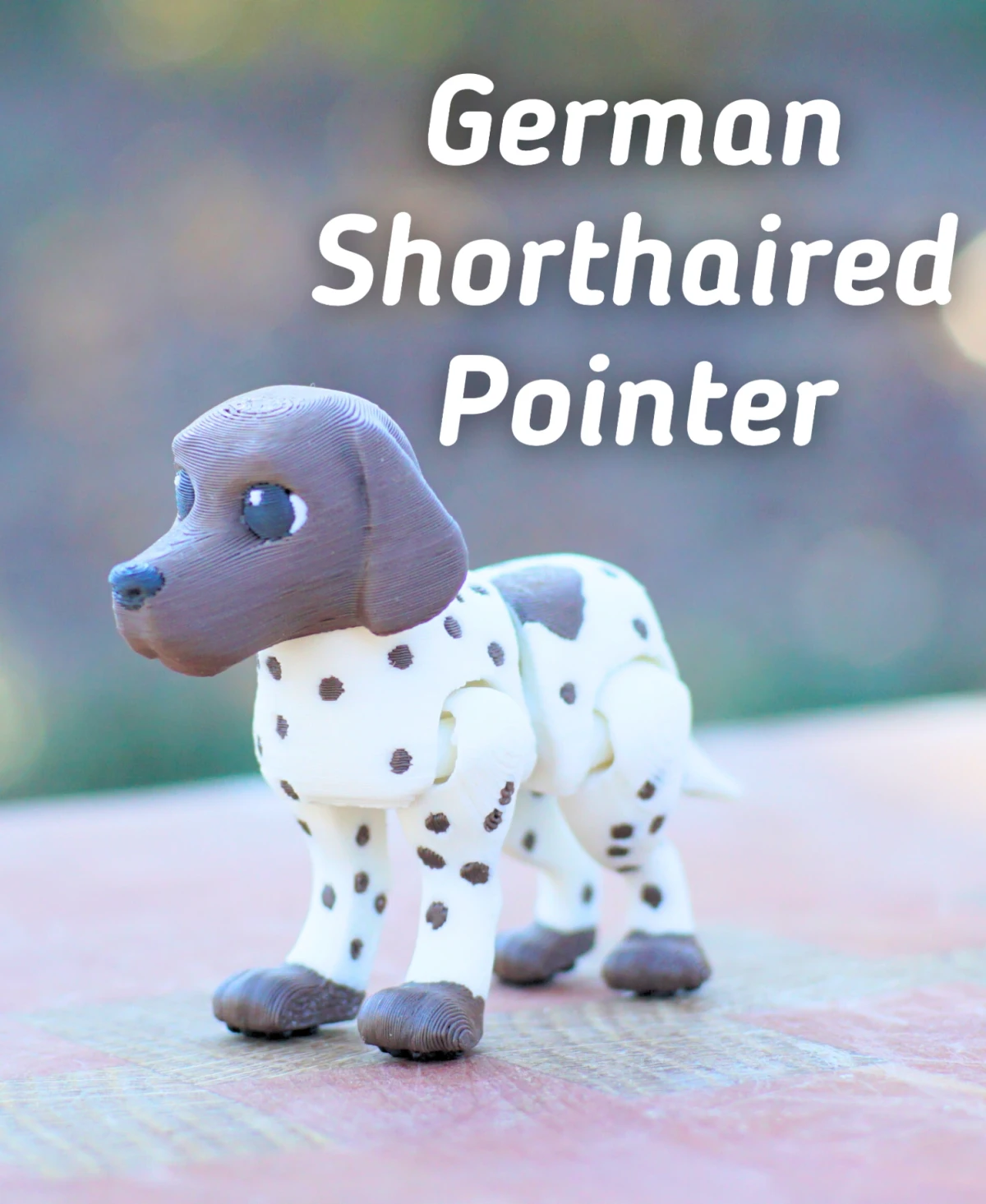 German Shorthaired Pointer