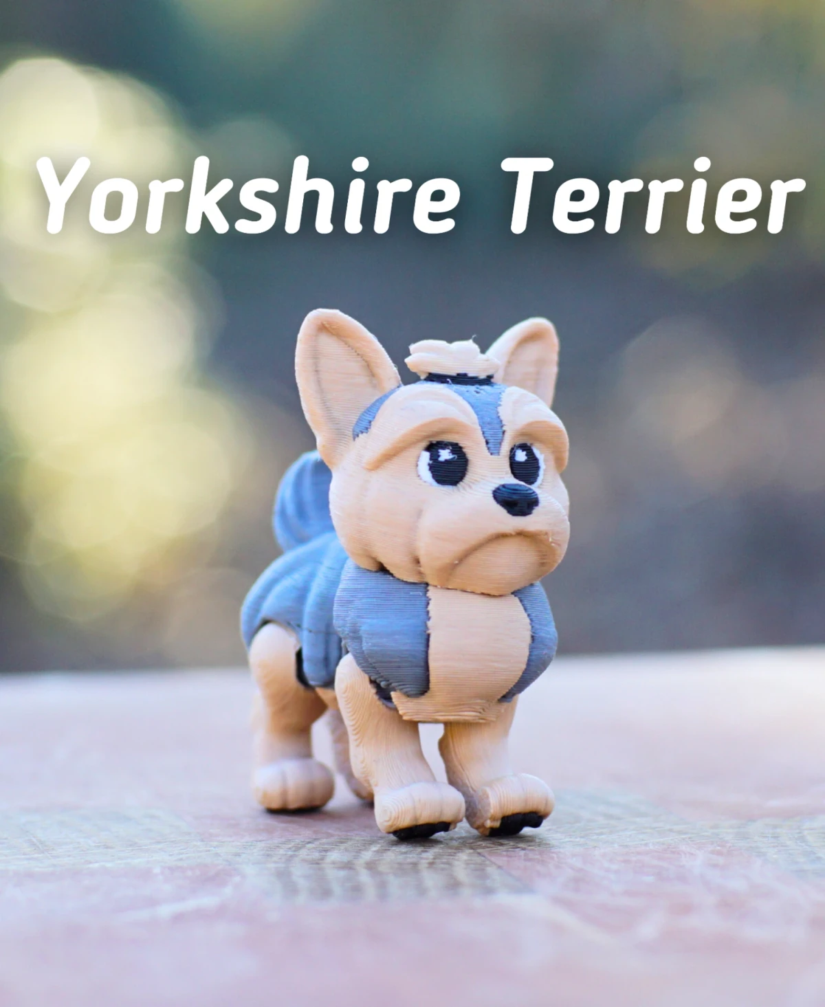 Yorkshire Terrier