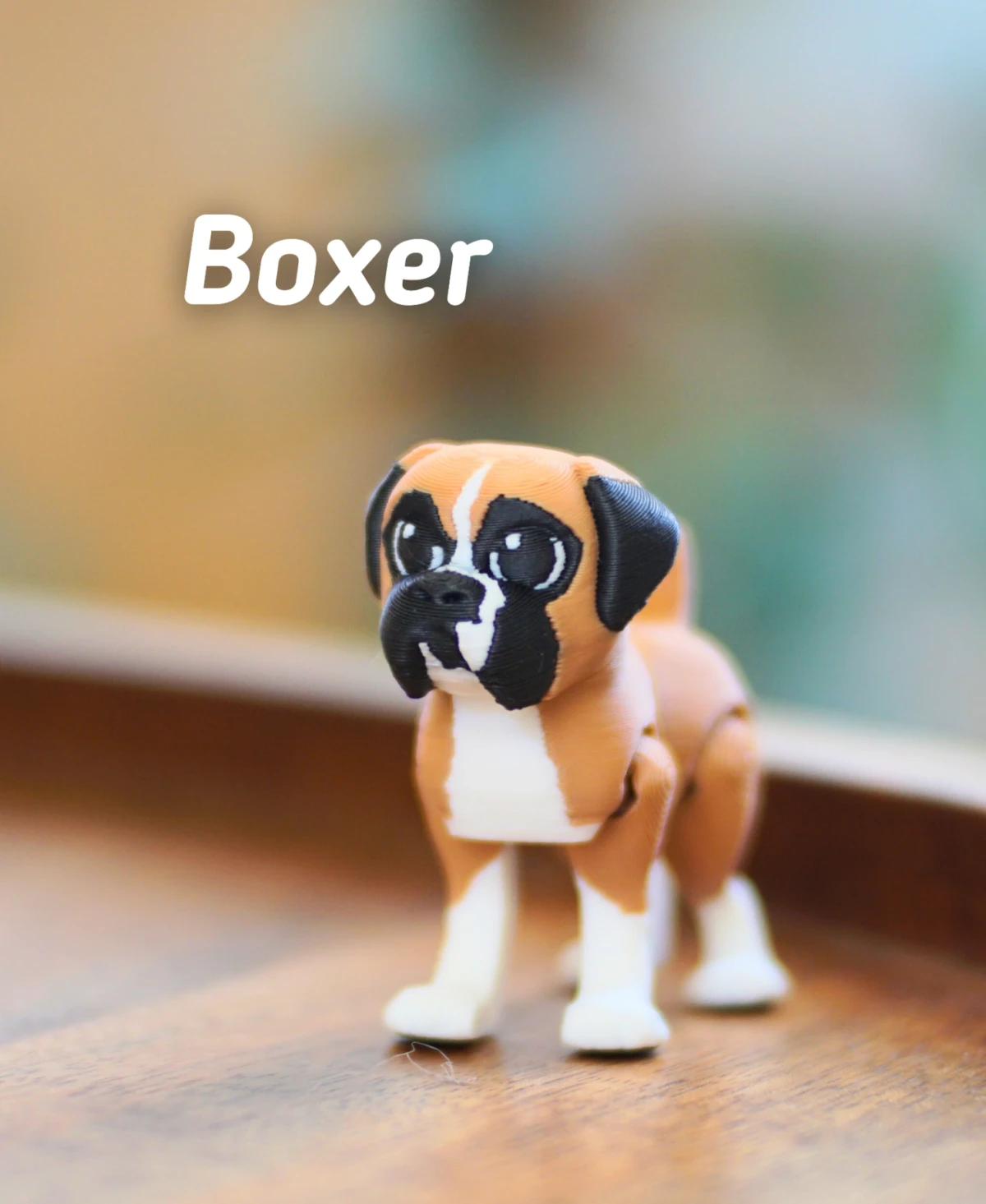 Boxer