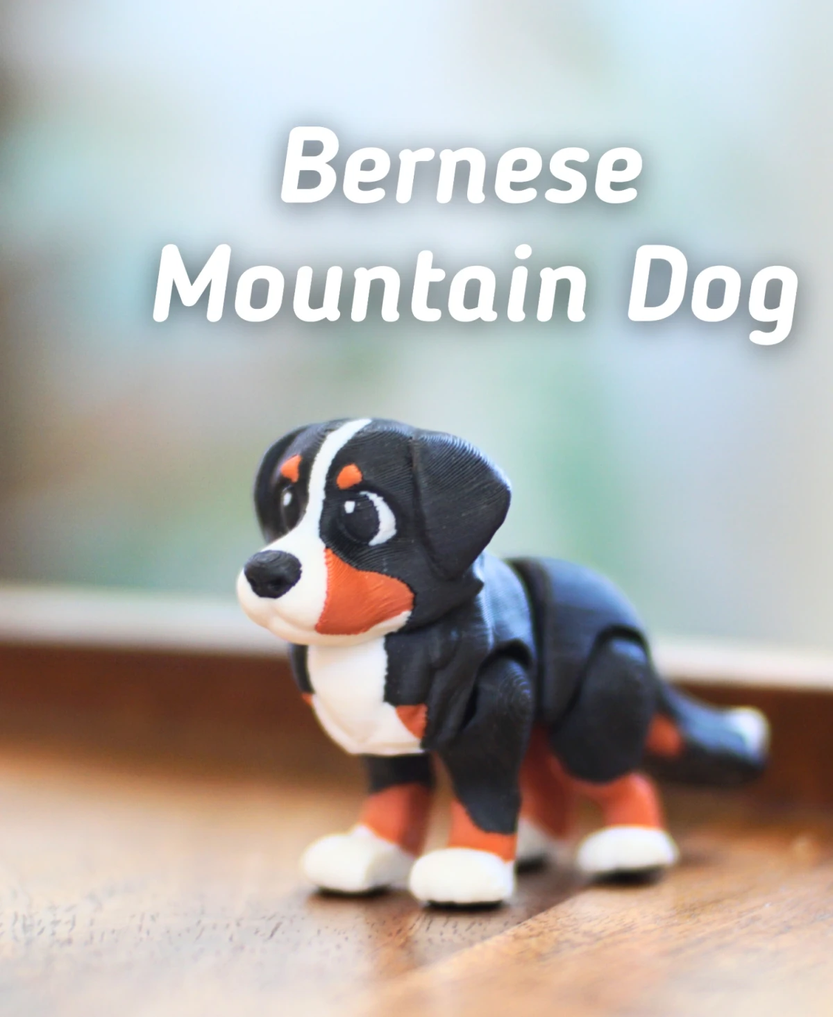 Bernese Mountain Dog