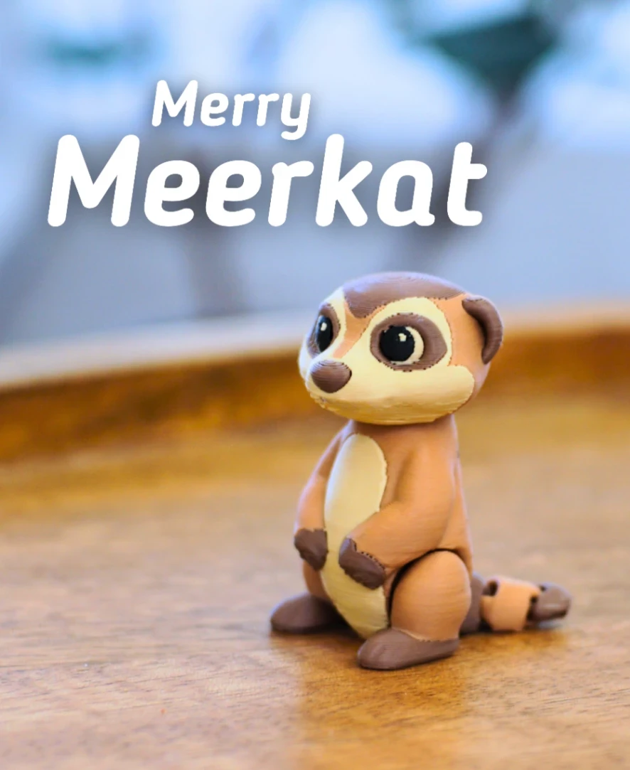 Merry Meerkat