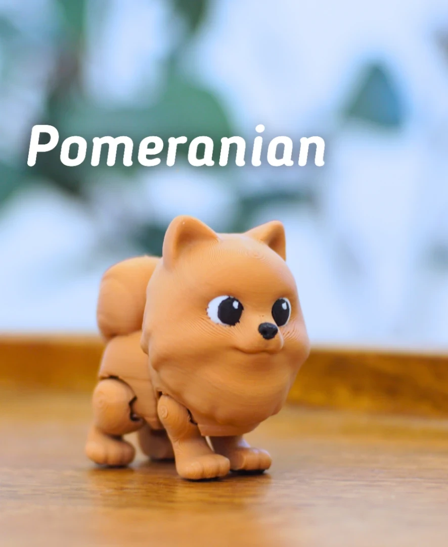 Pomeranian
