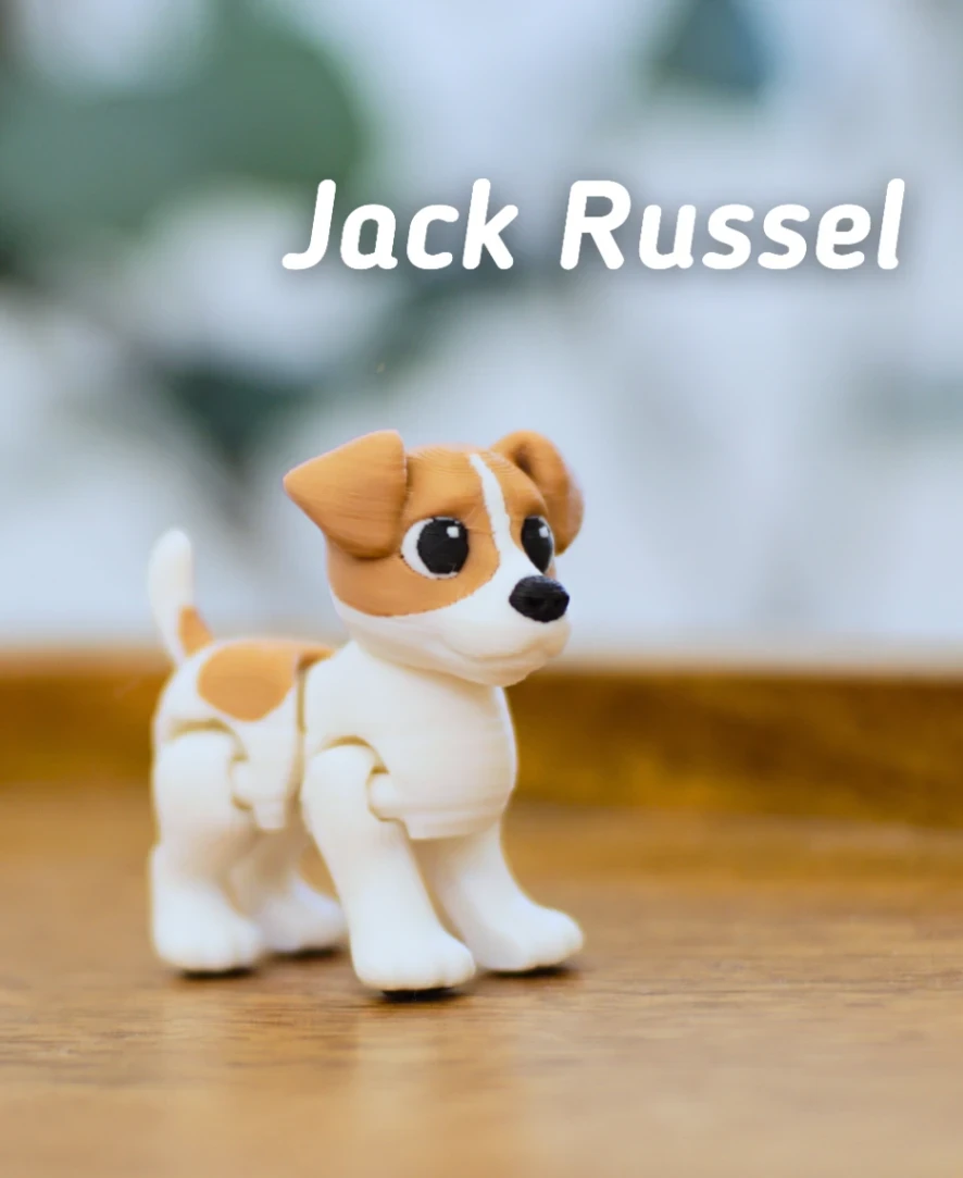 Jack Russel