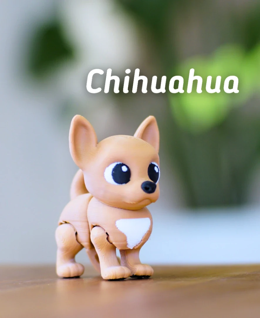 Chihuahua