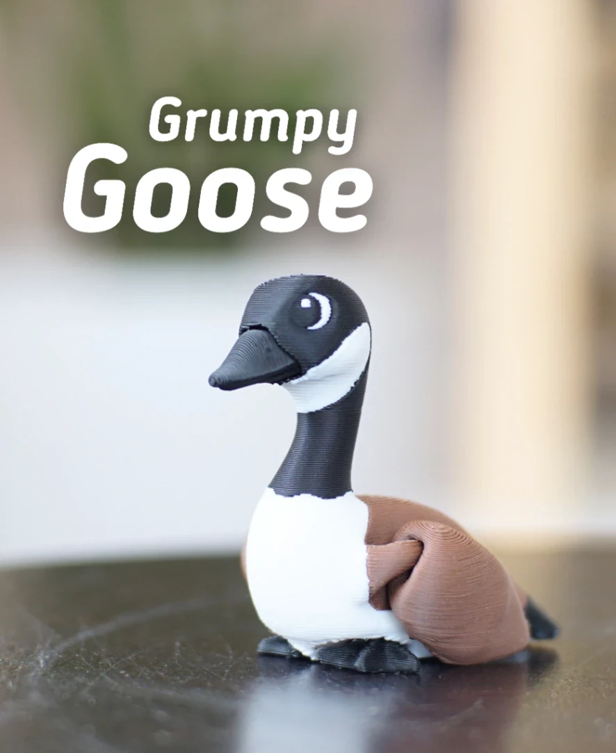 Grumpy Goose
