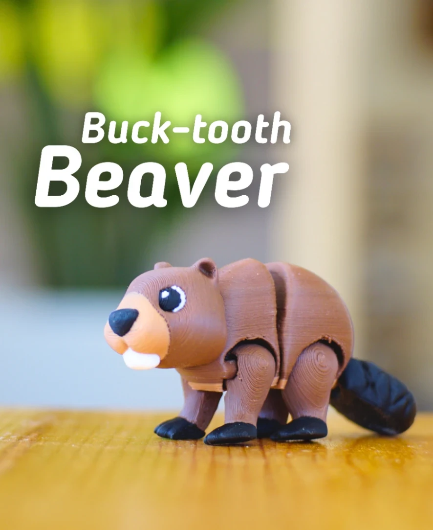 Buck-tooth Beaver