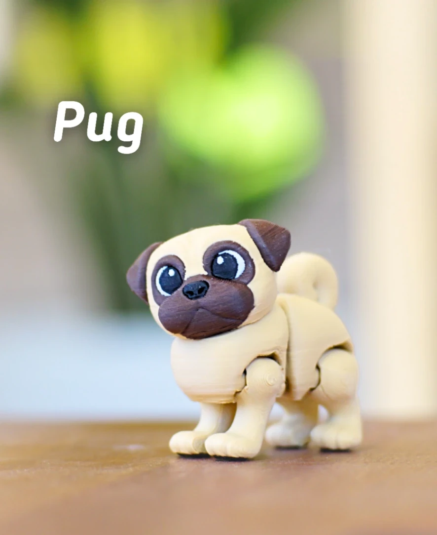 Pug