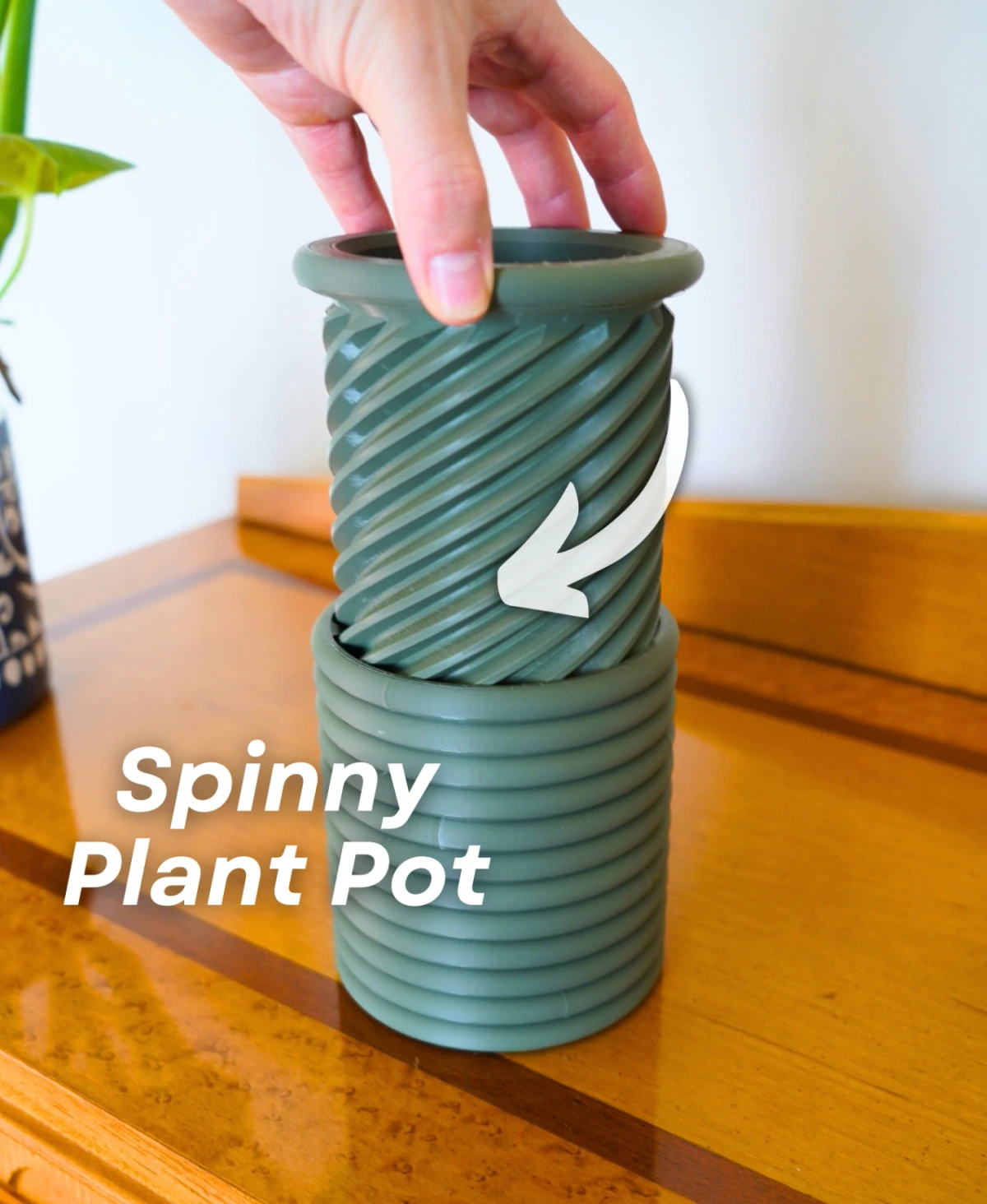Spinny Plant Pot