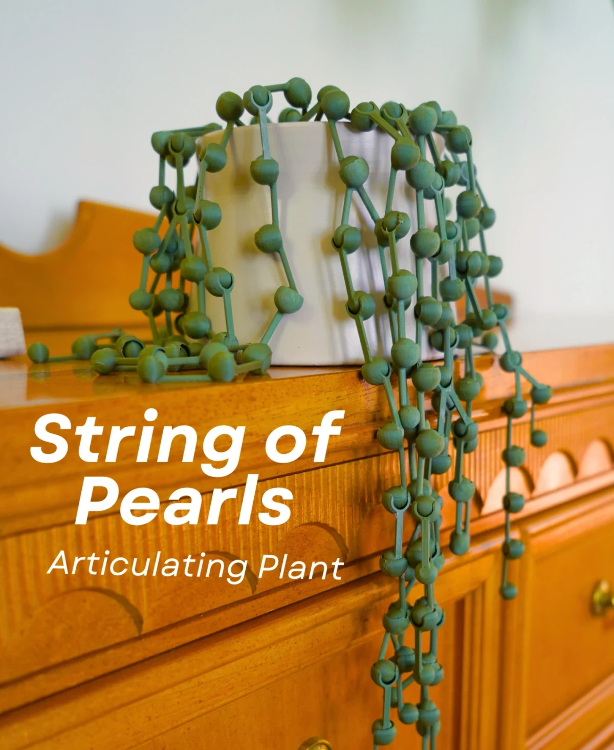 String of Pearls