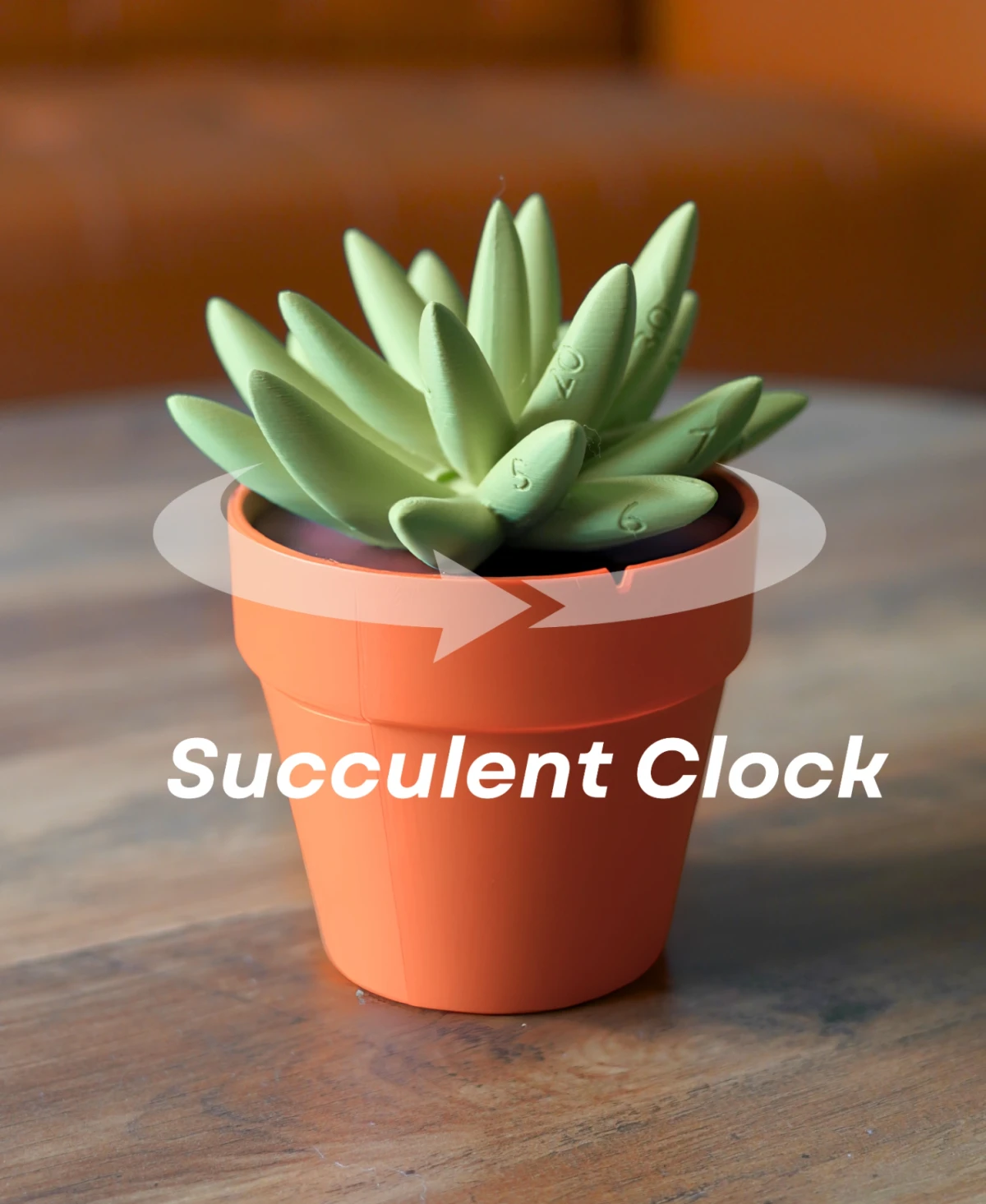 Succulent Clock