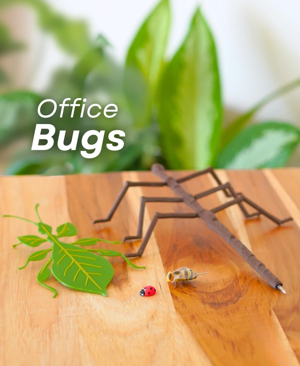 Office Bugs