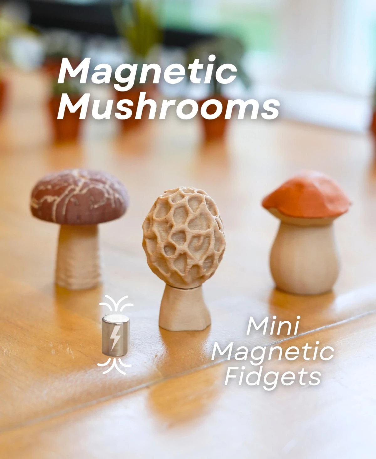 Magnetic Mushrooms