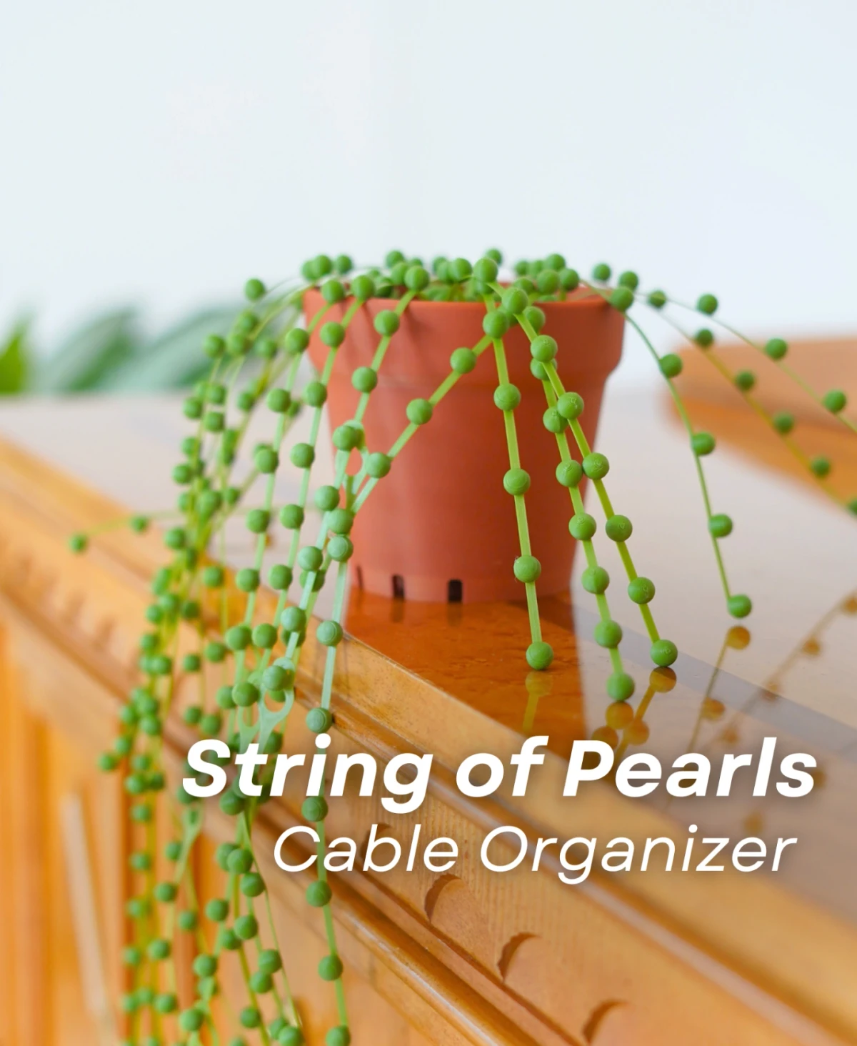 String of Pearls