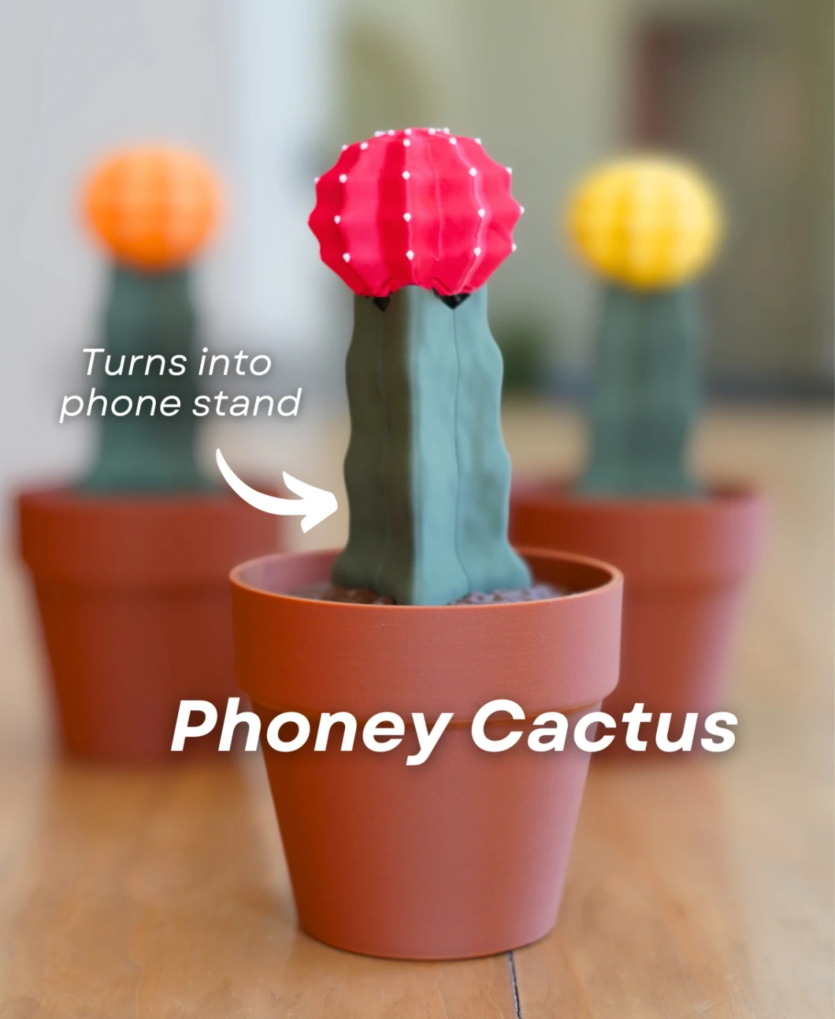 Phoney Cactus