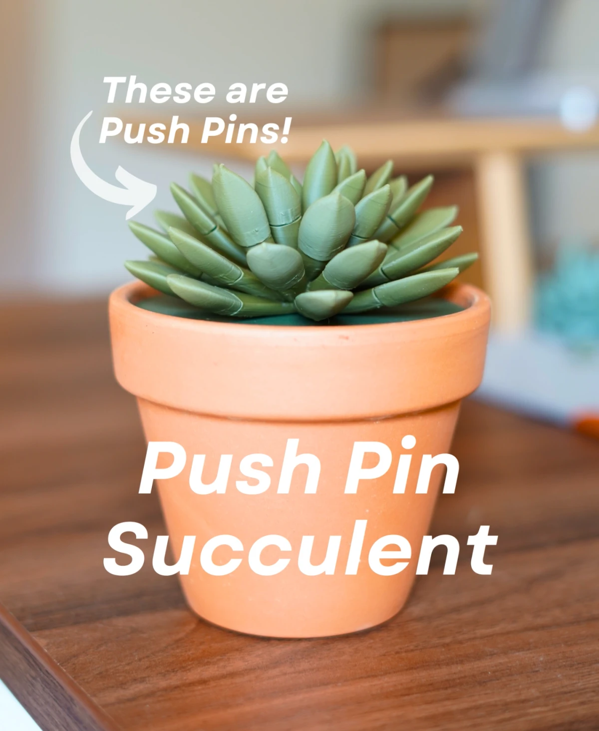 Push Pin Succulent