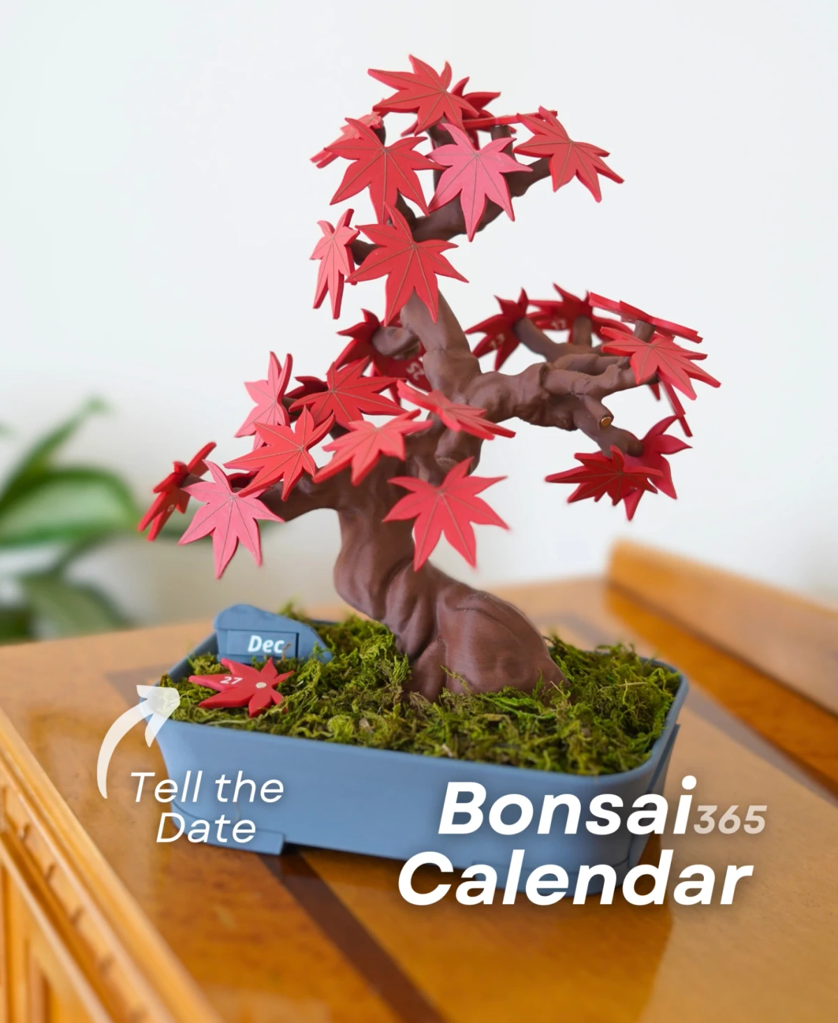 Bonsai 365 Calendar