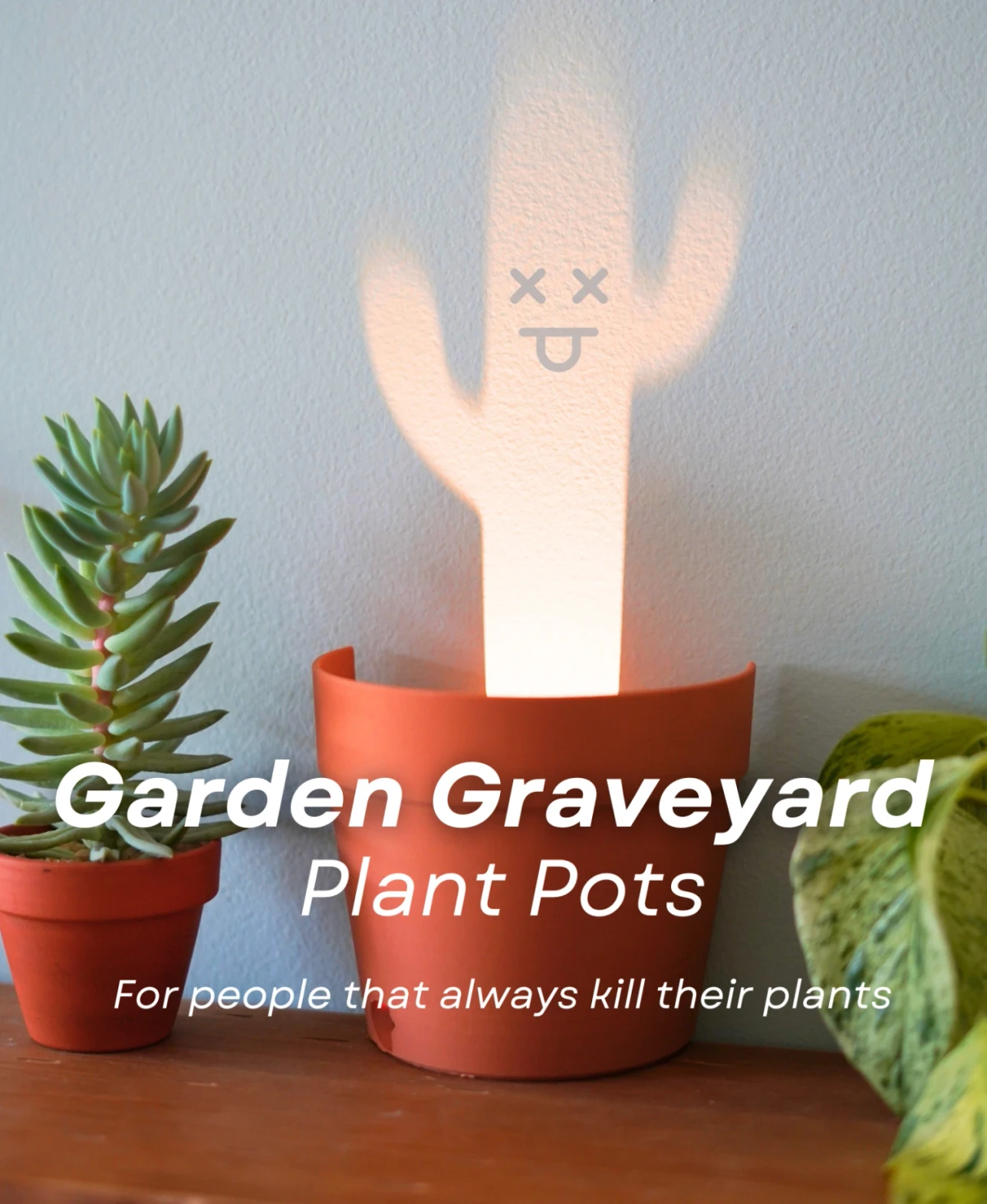 Garden Graveyard