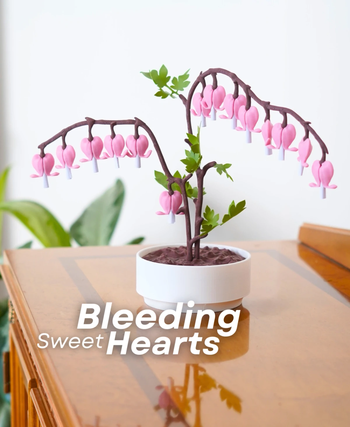 Bleeding Sweethearts