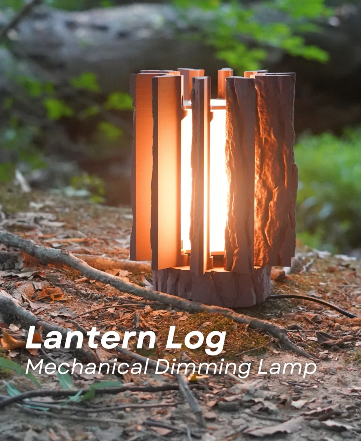 Lantern Log