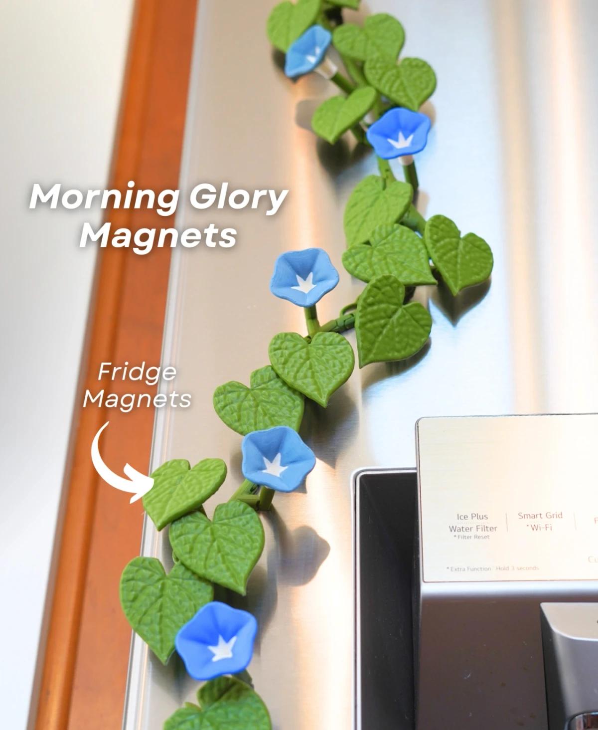 Morning Glory Magnets